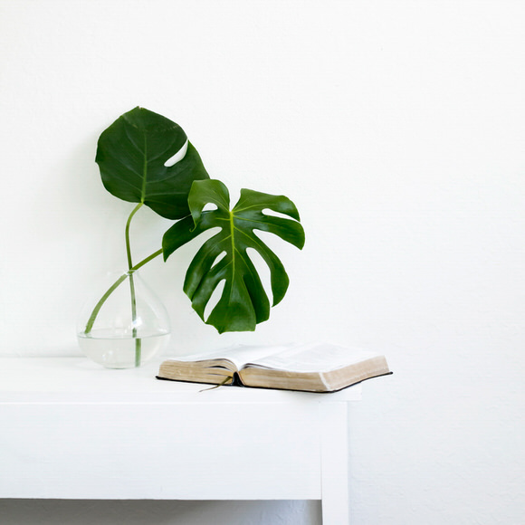 Two palm fronds in a vase with a bible sitting on a white table