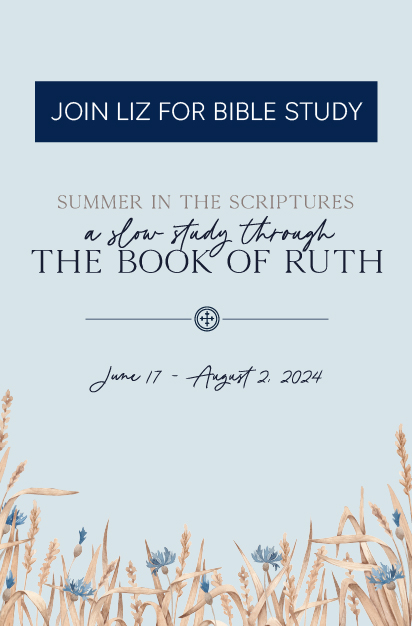 A slow study through the Book of Ruth graphic